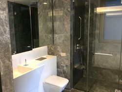 Cairnhill Nine (D9), Apartment #559336331